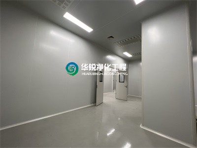 凈化工程中的特點？